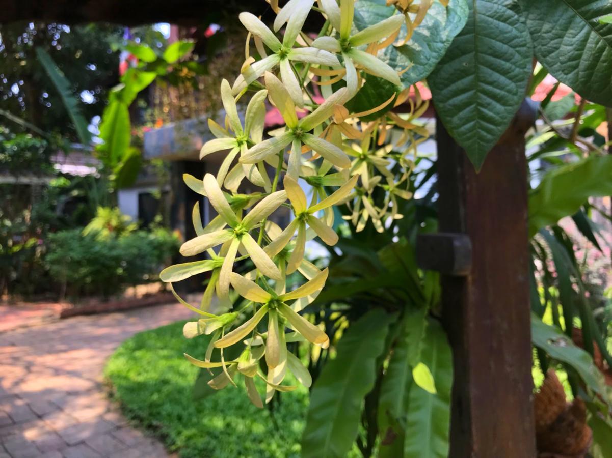 Moradok Thai Guesthouse Phra Nakhon Si Ayutthaya Zewnętrze zdjęcie