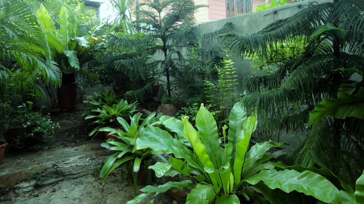 Moradok Thai Guesthouse Phra Nakhon Si Ayutthaya Zewnętrze zdjęcie